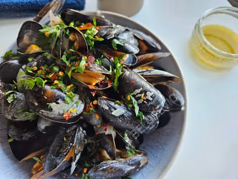 Mussels
